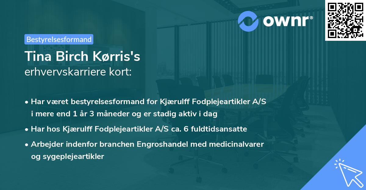 Tina Birch Kørris's erhvervskarriere kort