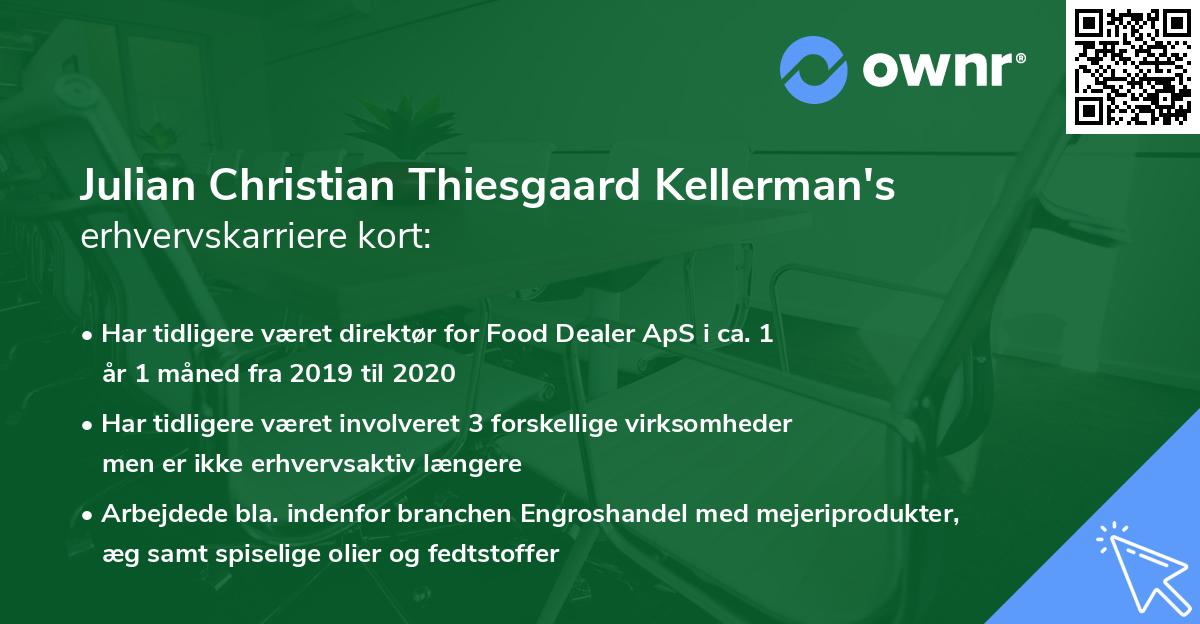 Julian Christian Thiesgaard Kellerman's erhvervskarriere kort