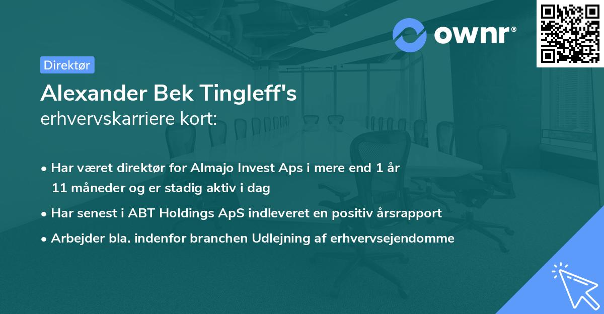 Alexander Bek Tingleff's erhvervskarriere kort