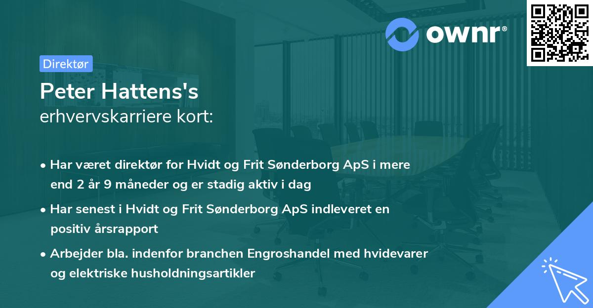 Peter Hattens's erhvervskarriere kort