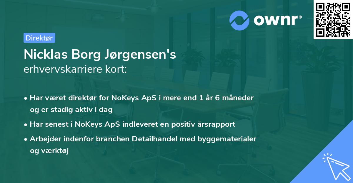 Nicklas Borg Jørgensen's erhvervskarriere kort