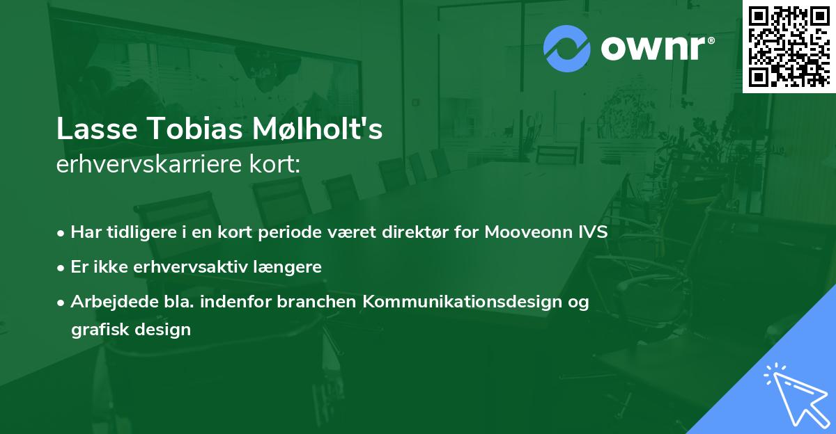 Lasse Tobias Mølholt's erhvervskarriere kort