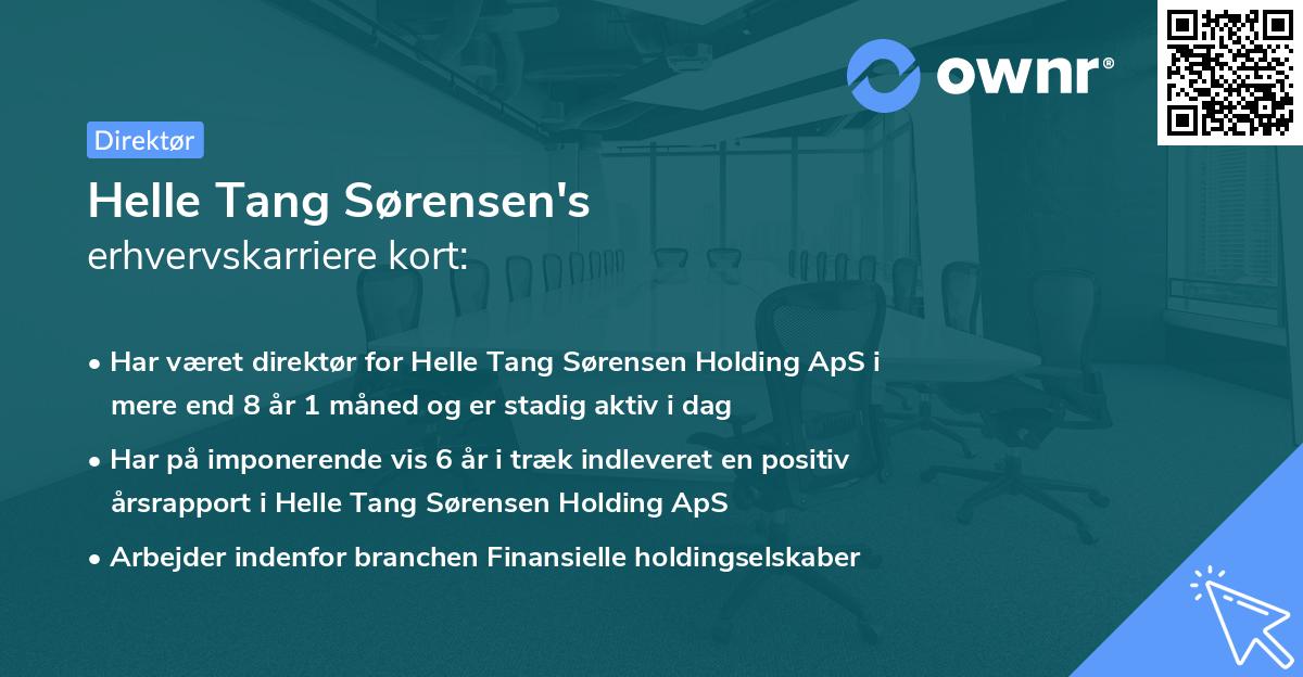 Helle Tang Sørensen's erhvervskarriere kort