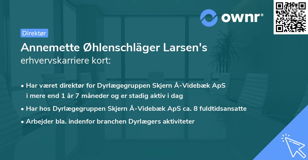 Annemette Øhlenschläger Larsen's erhvervskarriere kort