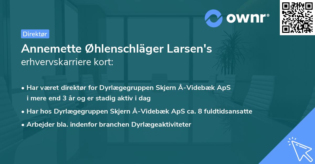 Annemette Øhlenschläger Larsen's erhvervskarriere kort