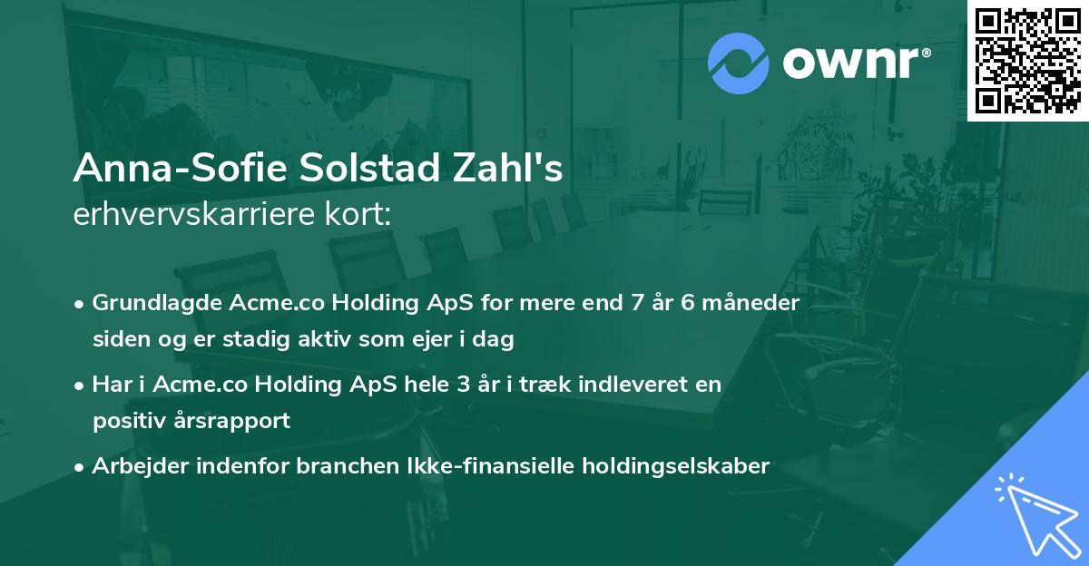 Anna-Sofie Solstad Zahl's erhvervskarriere kort