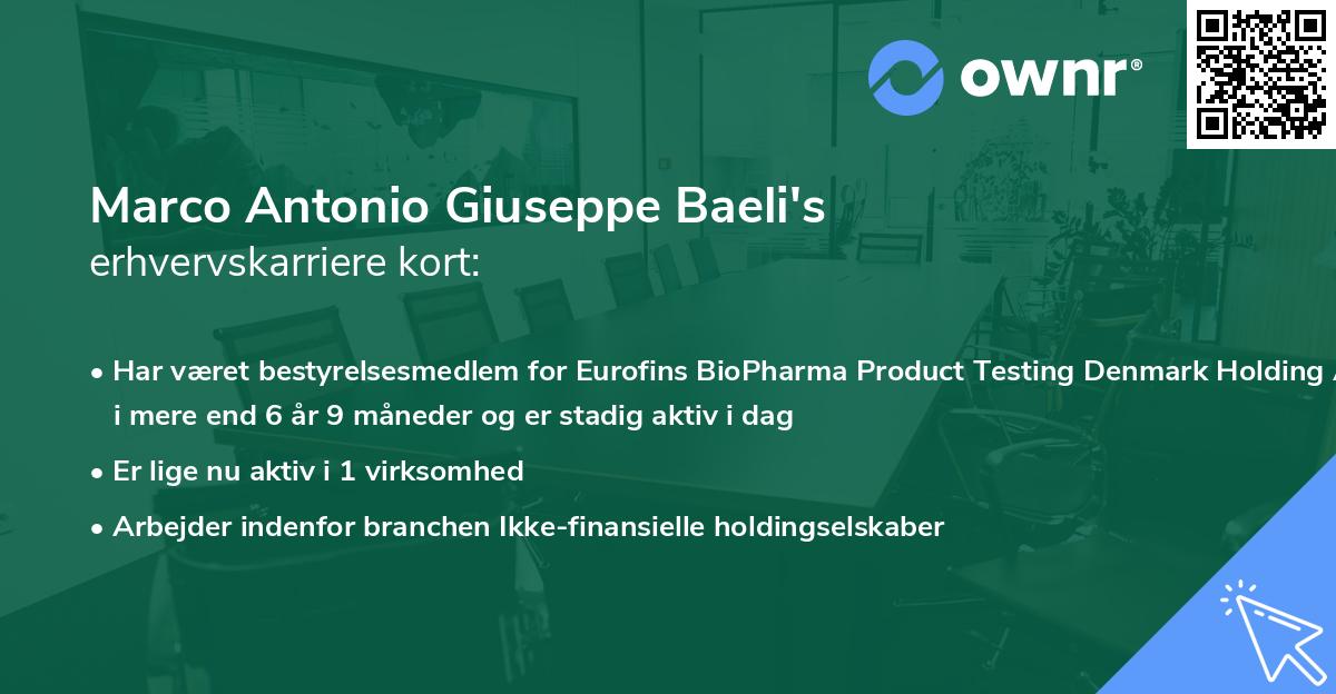 Marco Antonio Giuseppe Baeli's erhvervskarriere kort