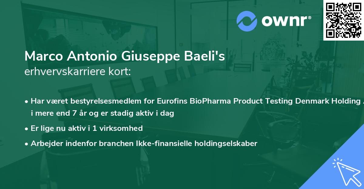 Marco Antonio Giuseppe Baeli's erhvervskarriere kort