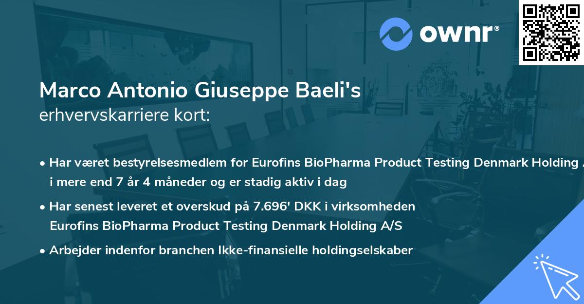 Marco Antonio Giuseppe Baeli's erhvervskarriere kort
