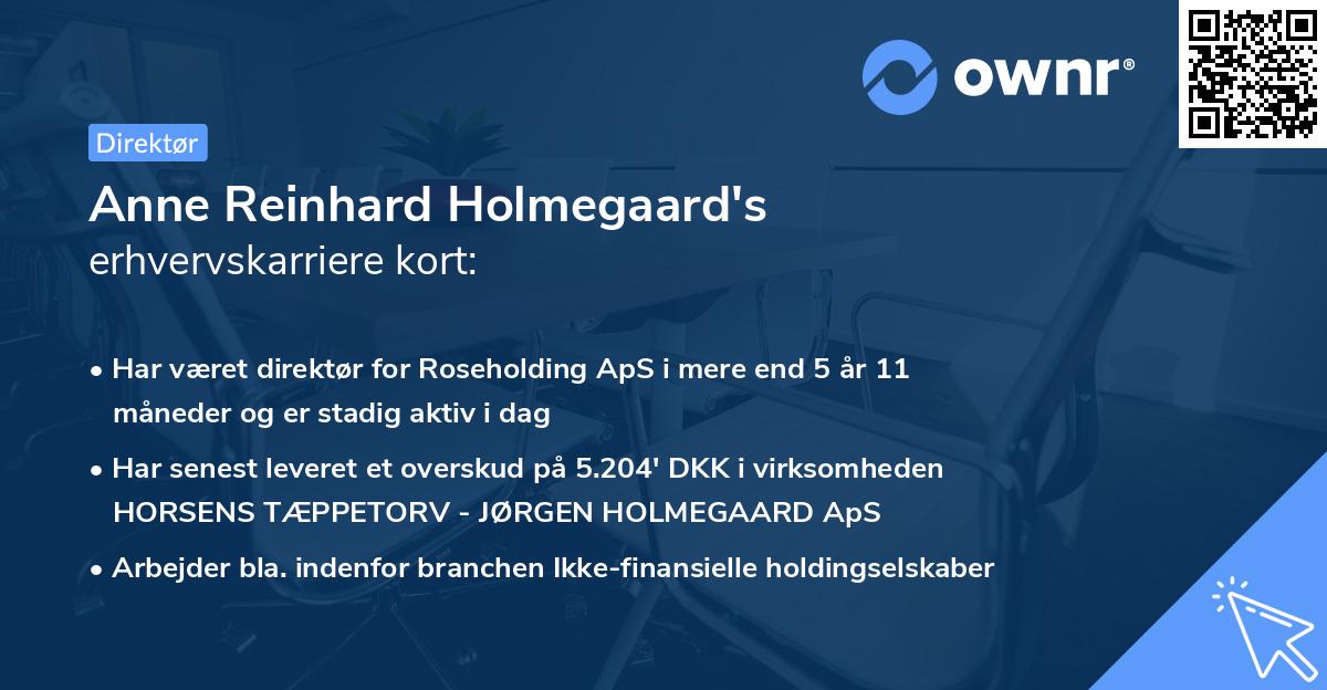 Anne Reinhard Holmegaard's erhvervskarriere kort