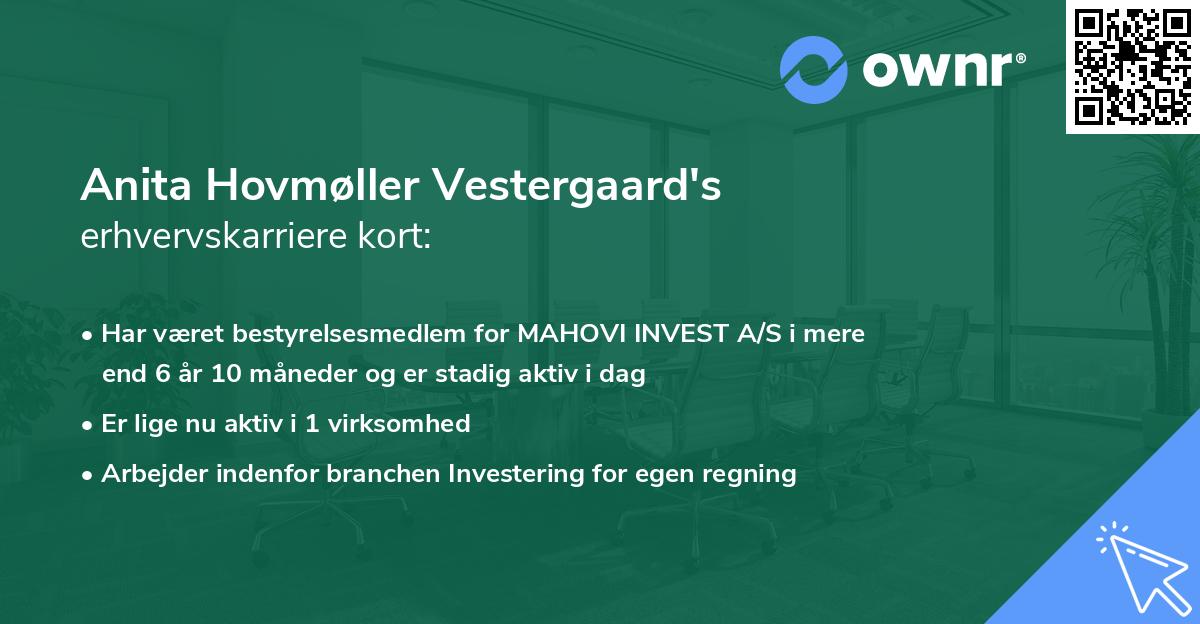 Anita Hovmøller Vestergaard's erhvervskarriere kort