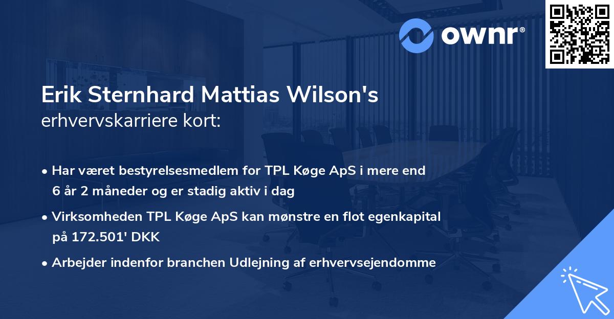 Erik Sternhard Mattias Wilson's erhvervskarriere kort
