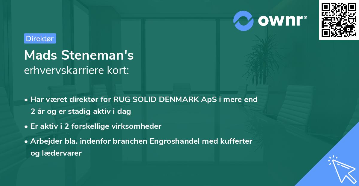 Mads Steneman's erhvervskarriere kort