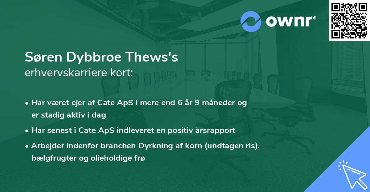 Søren Dybbroe Thews's erhvervskarriere kort