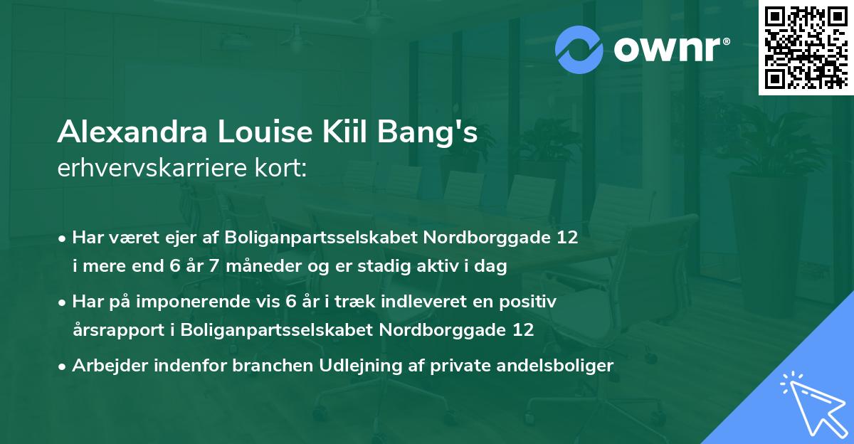 Alexandra Louise Kiil Bang's erhvervskarriere kort