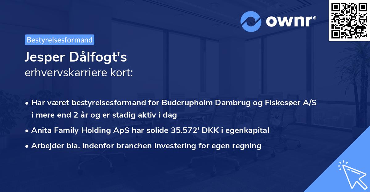 Jesper Dålfogt's erhvervskarriere kort