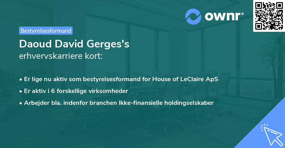 Daoud David Gerges's erhvervskarriere kort