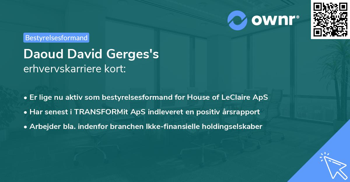 Daoud David Gerges's erhvervskarriere kort