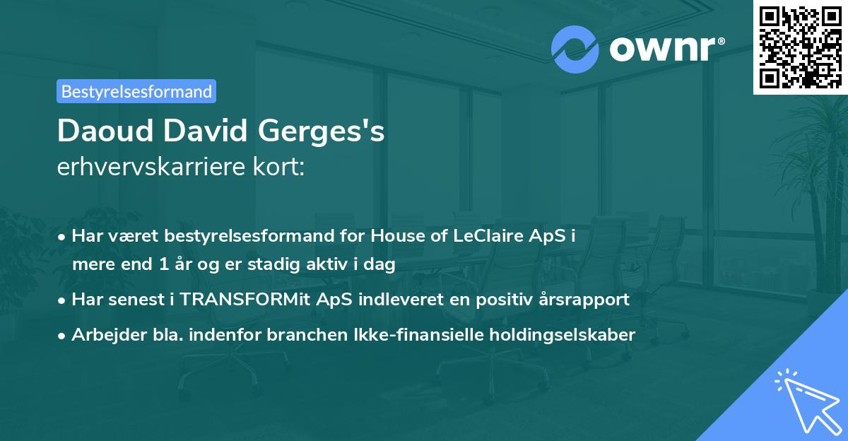 Daoud David Gerges's erhvervskarriere kort