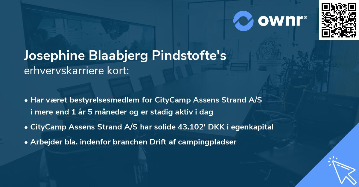 Josephine Blaabjerg Pindstofte's erhvervskarriere kort