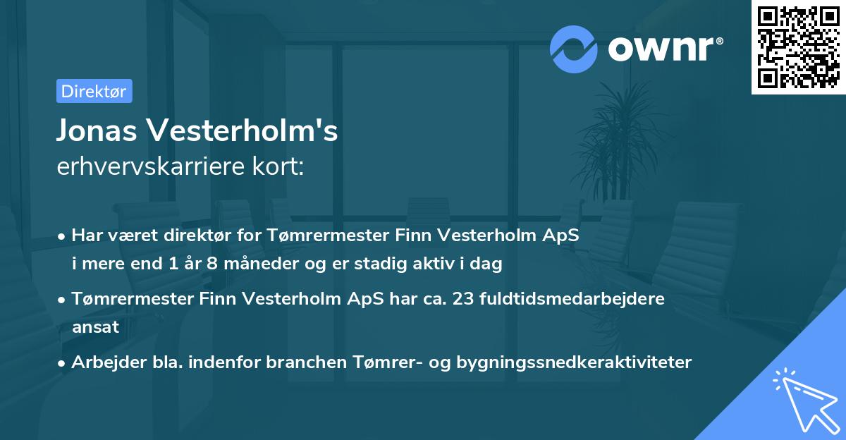 Jonas Vesterholm's erhvervskarriere kort