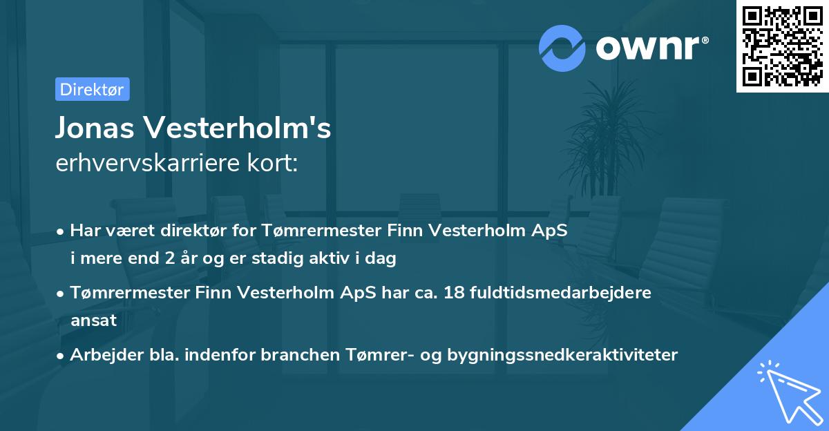 Jonas Vesterholm's erhvervskarriere kort