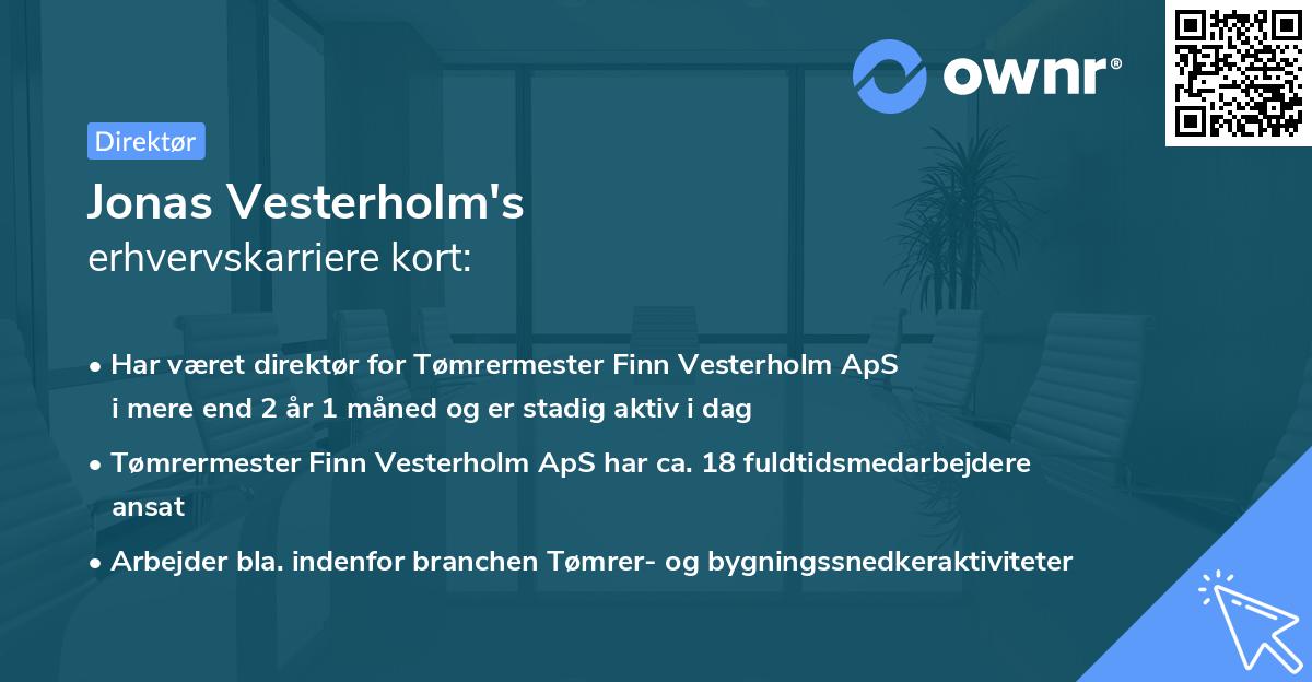 Jonas Vesterholm's erhvervskarriere kort