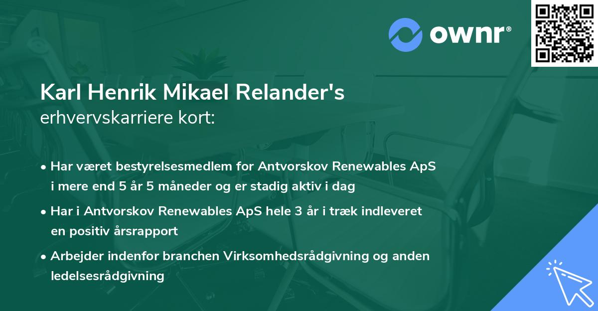 Karl Henrik Mikael Relander's erhvervskarriere kort
