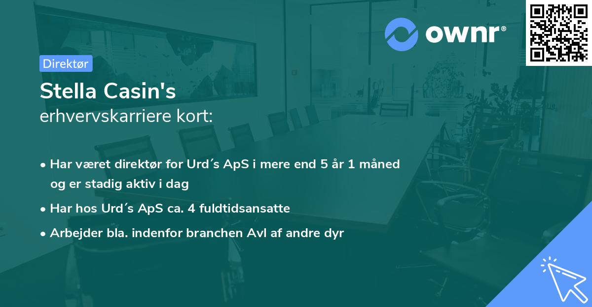 Stella Casin's erhvervskarriere kort