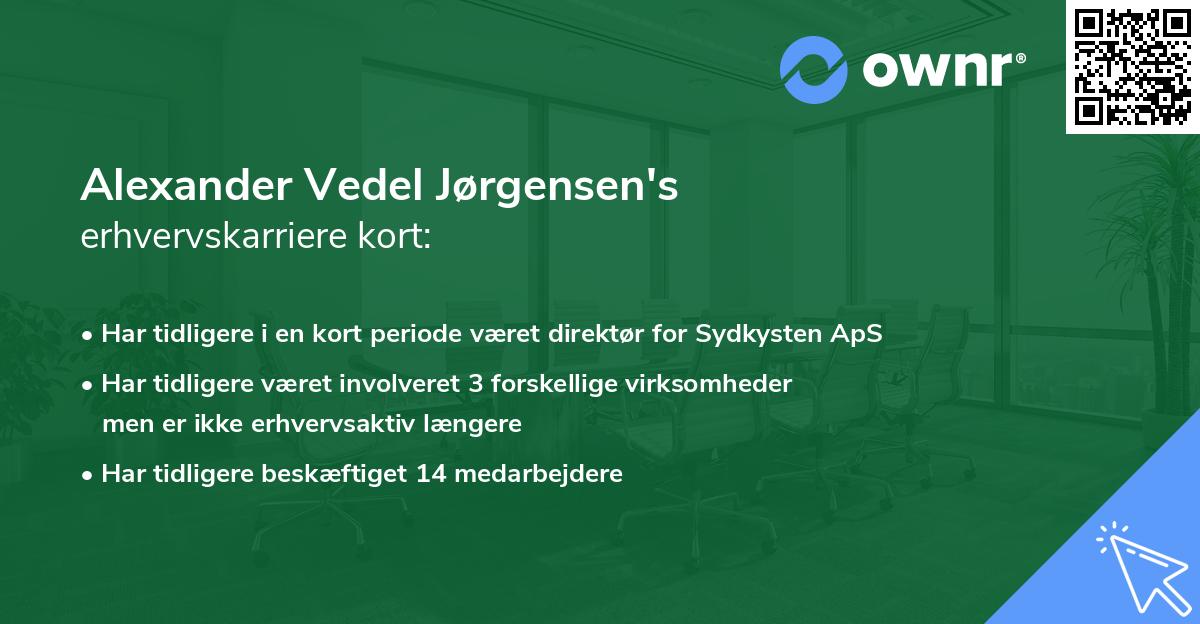 Alexander Vedel Jørgensen's erhvervskarriere kort