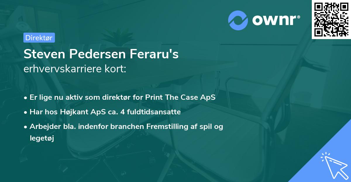 Steven Pedersen Feraru's erhvervskarriere kort