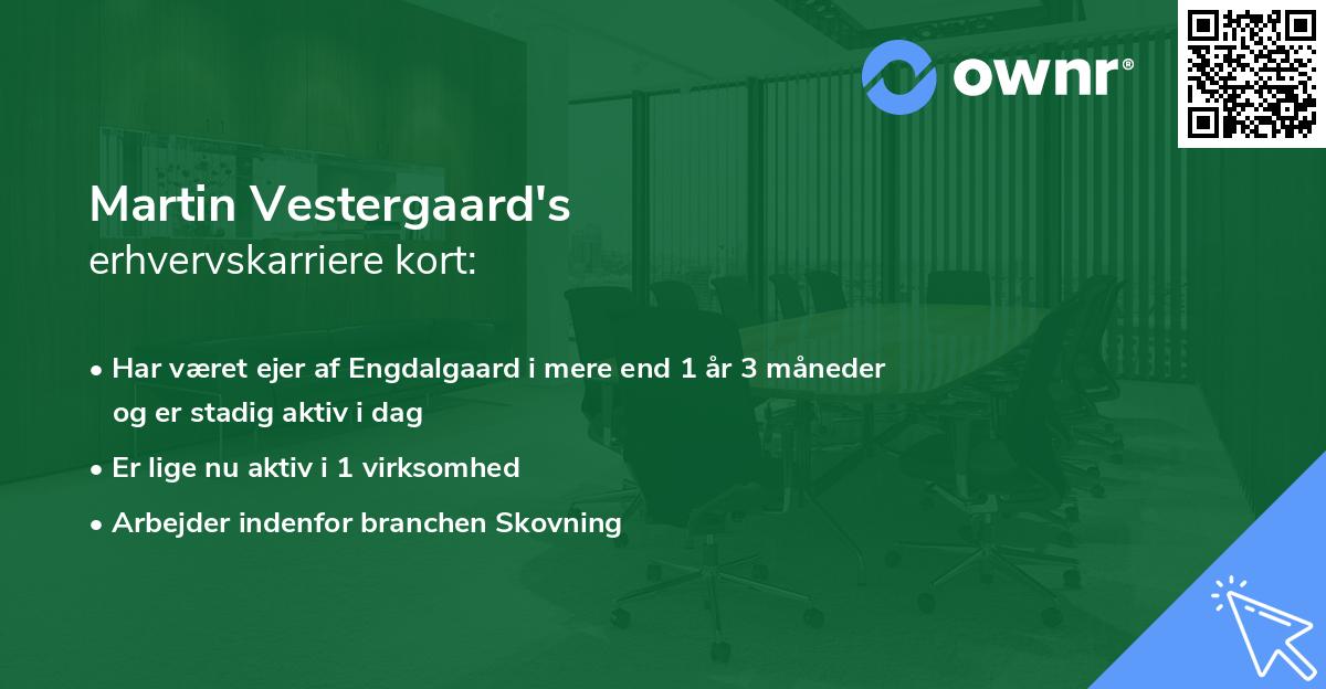 Martin Vestergaard's erhvervskarriere kort