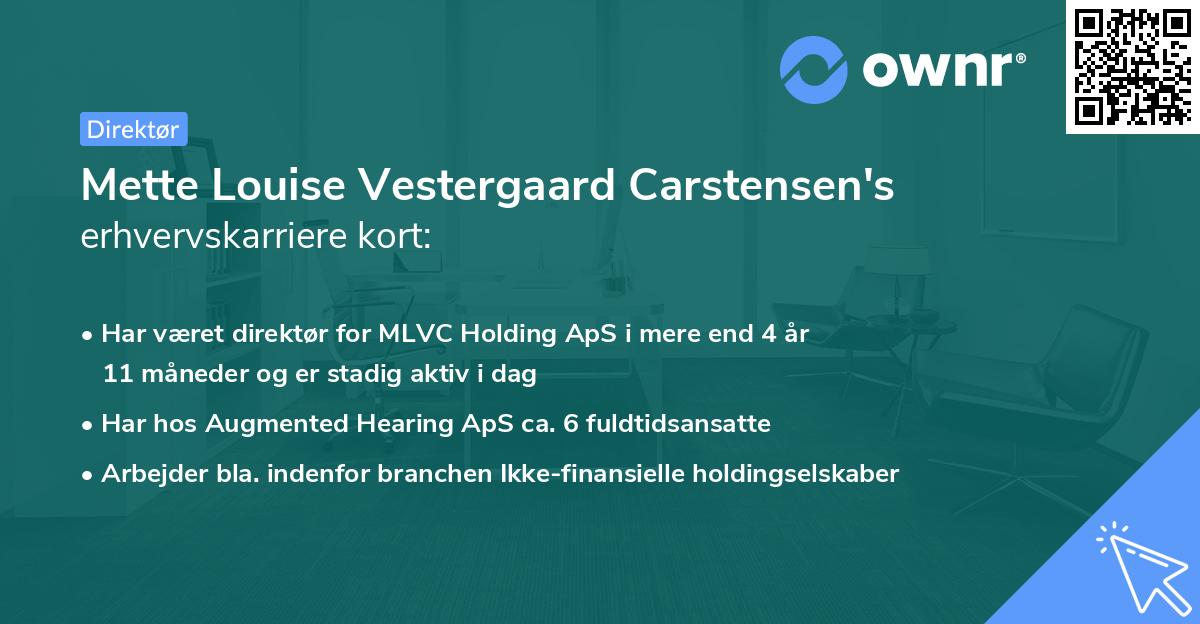 Mette Louise Vestergaard Carstensen's erhvervskarriere kort