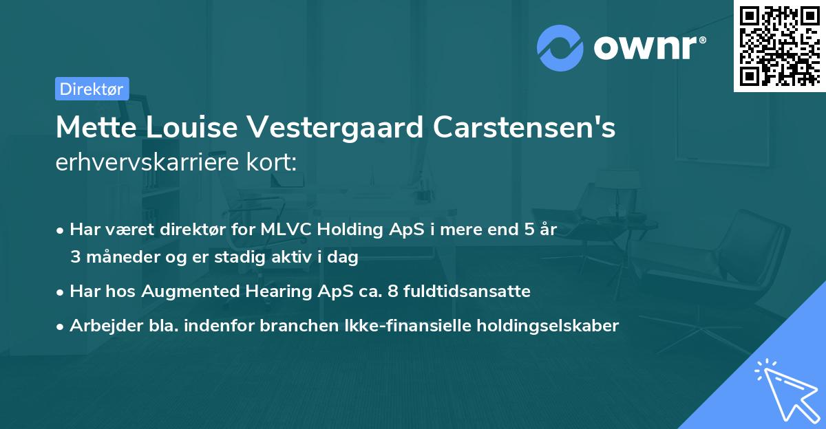 Mette Louise Vestergaard Carstensen's erhvervskarriere kort