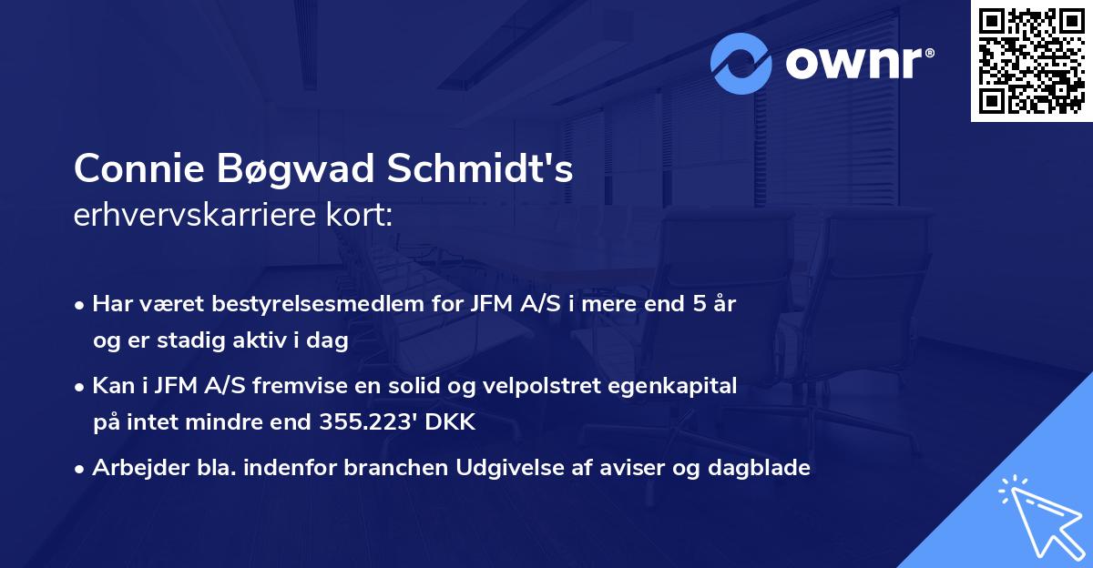 Connie Bøgwad Schmidt's erhvervskarriere kort