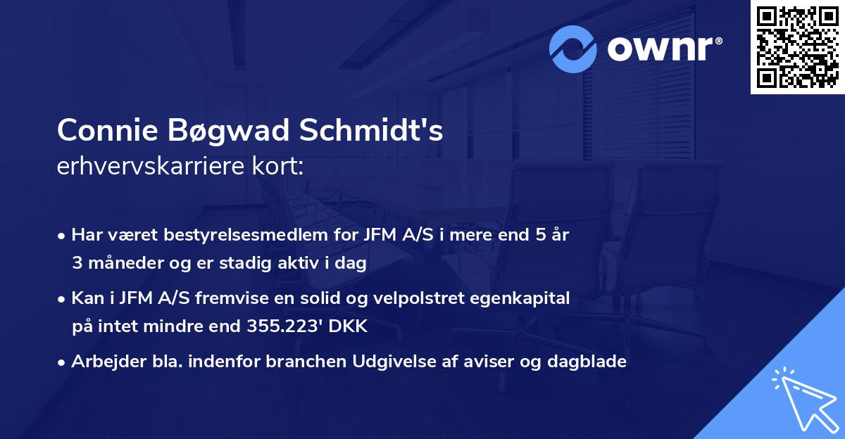 Connie Bøgwad Schmidt's erhvervskarriere kort