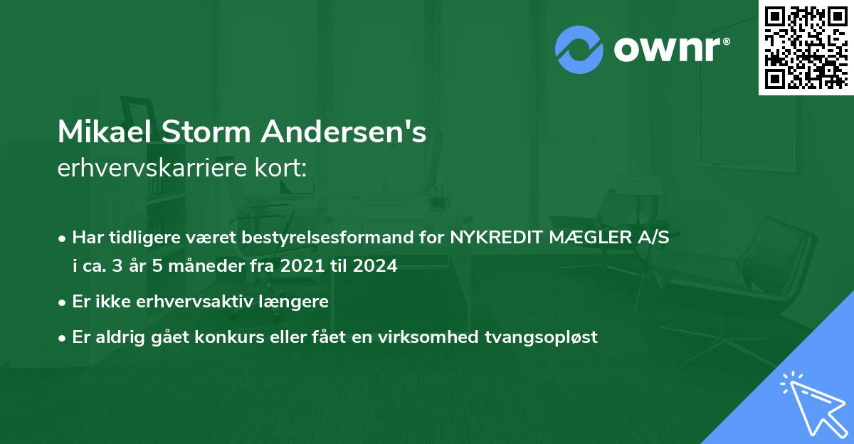 Mikael Storm Andersen's erhvervskarriere kort