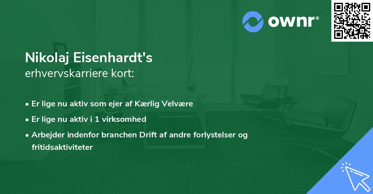 Nikolaj Eisenhardt's erhvervskarriere kort