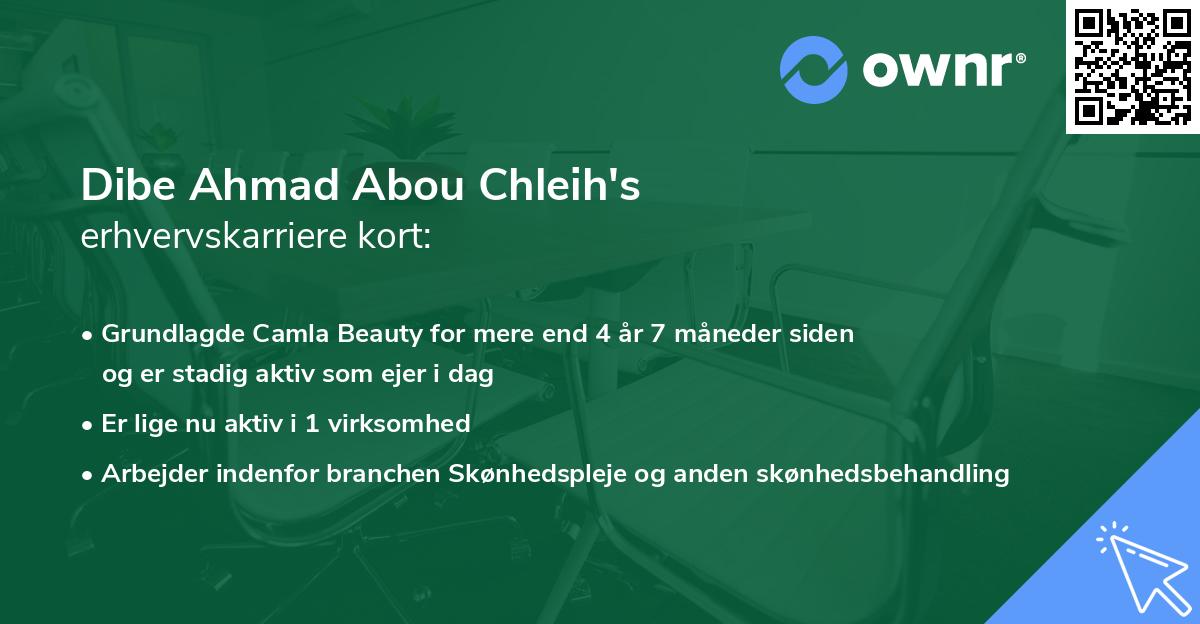 Dibe Ahmad Abou Chleih's erhvervskarriere kort