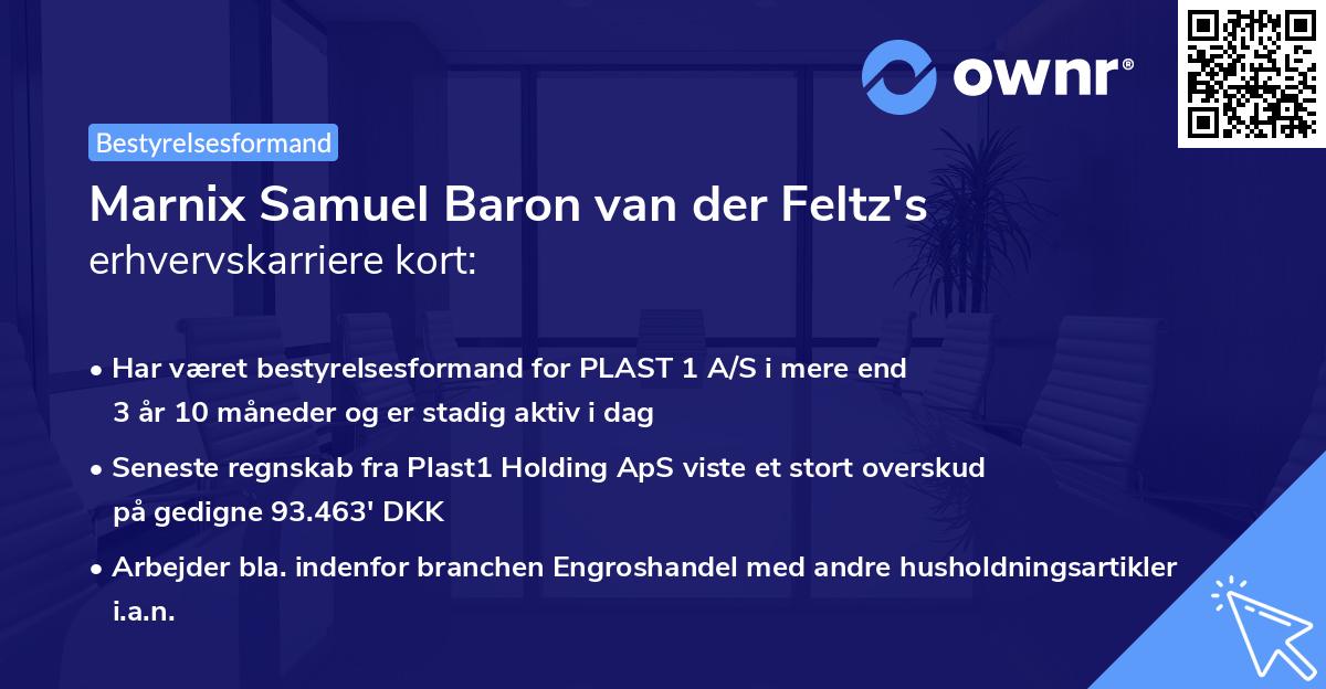 Marnix Samuel Baron van der Feltz's erhvervskarriere kort