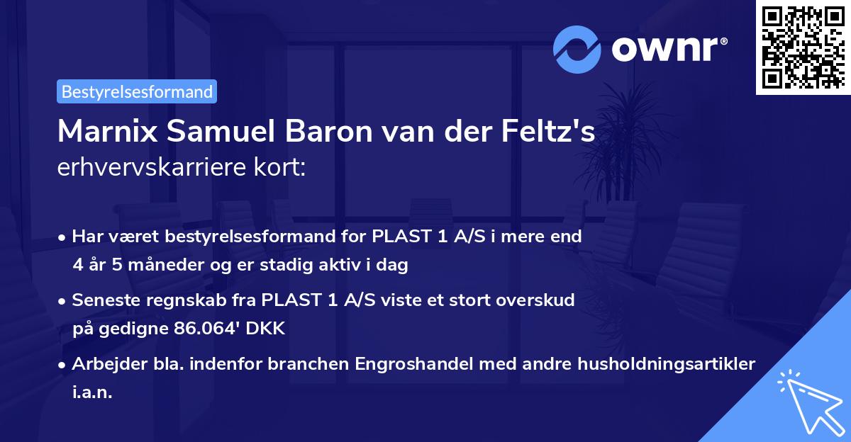 Marnix Samuel Baron van der Feltz's erhvervskarriere kort