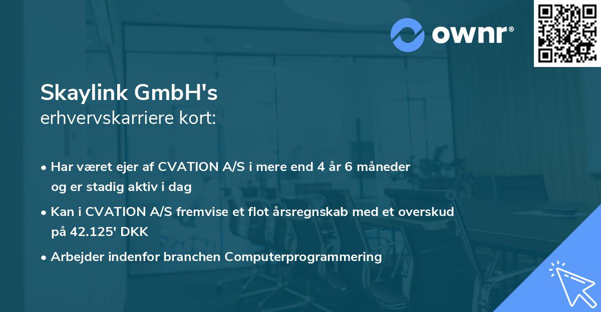 Skaylink GmbH's erhvervskarriere kort