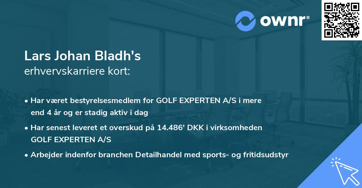 Lars Johan Bladh's erhvervskarriere kort
