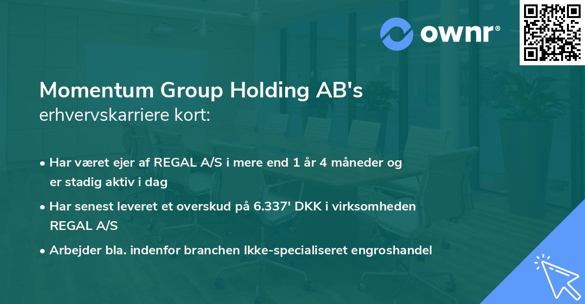 Momentum Group Holding AB's erhvervskarriere kort