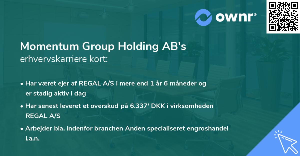 Momentum Group Holding AB's erhvervskarriere kort