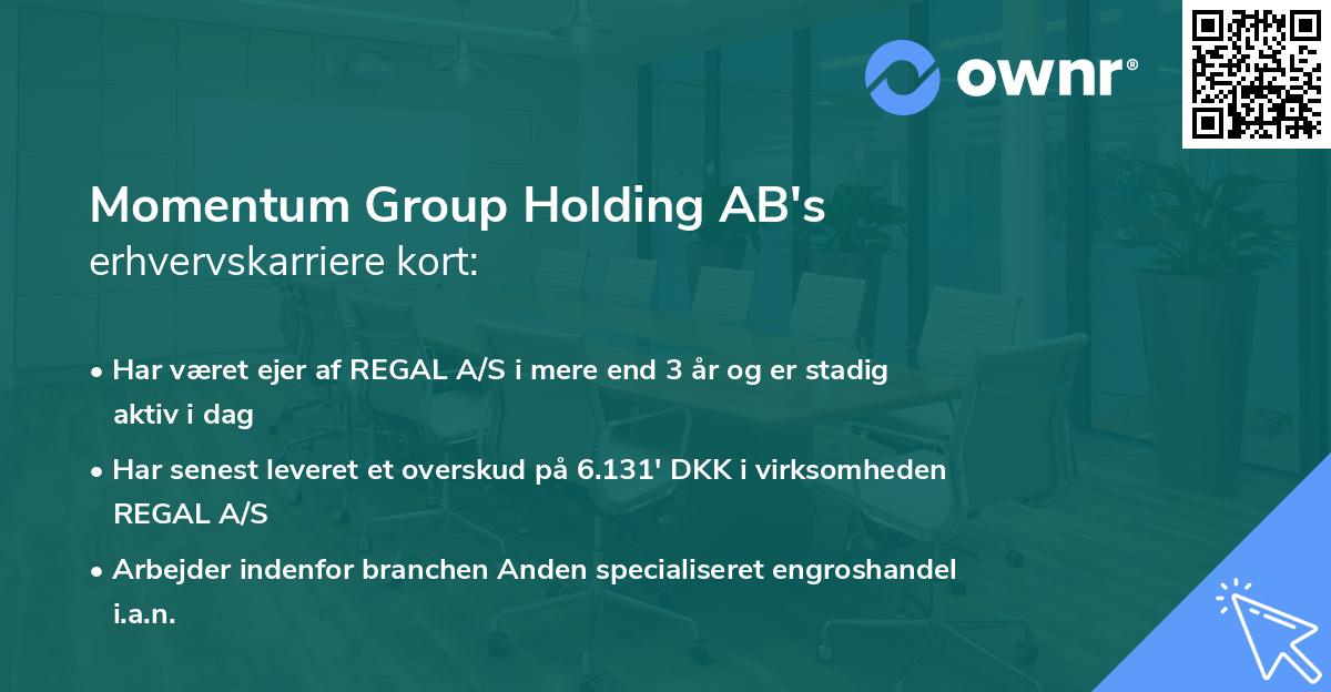 Momentum Group Holding AB's erhvervskarriere kort