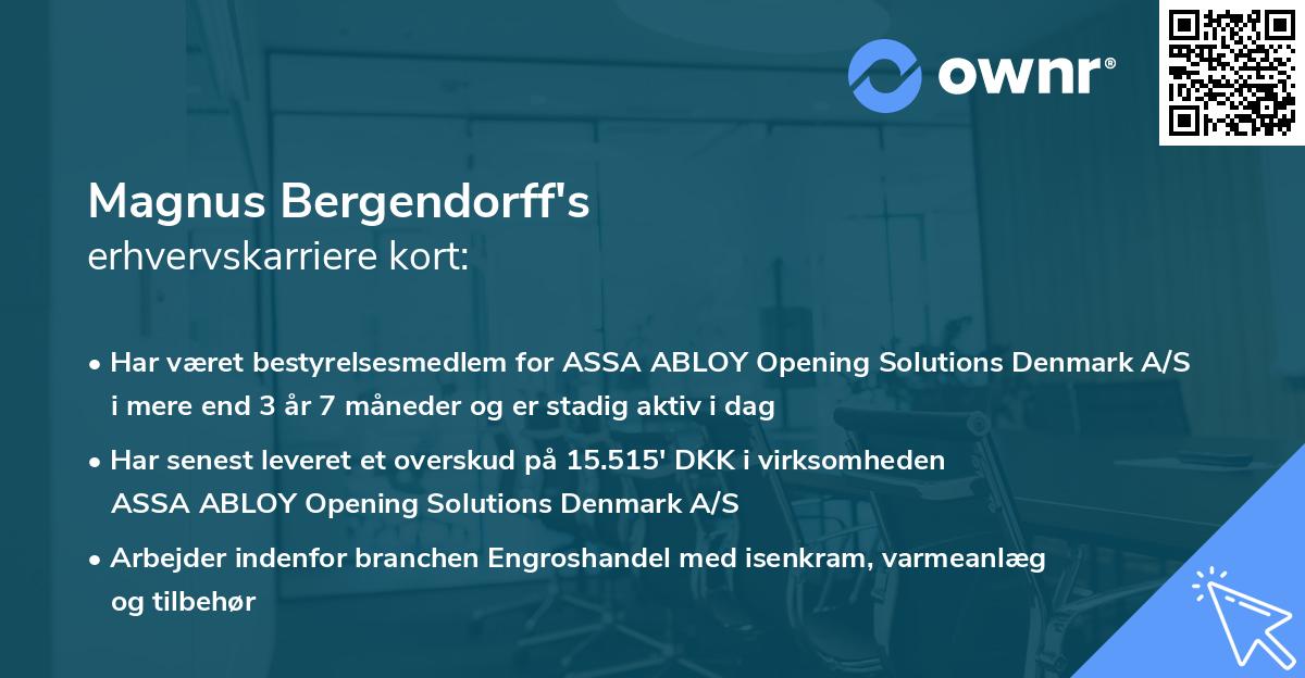 Magnus Bergendorff's erhvervskarriere kort