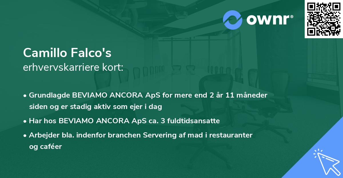 Camillo Falco's erhvervskarriere kort