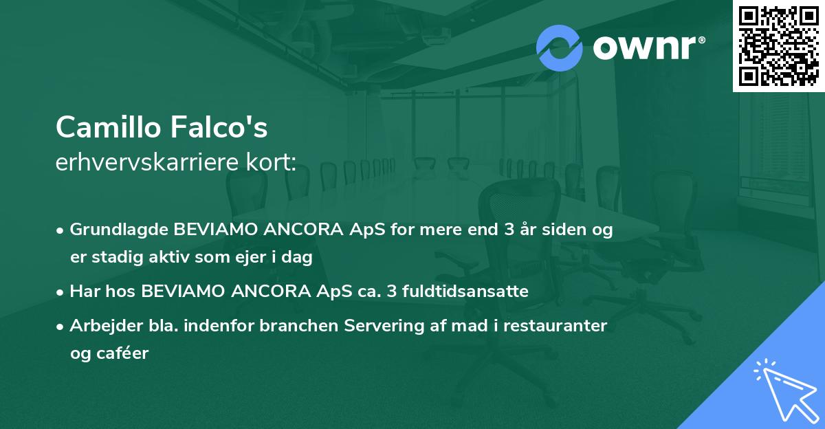 Camillo Falco's erhvervskarriere kort