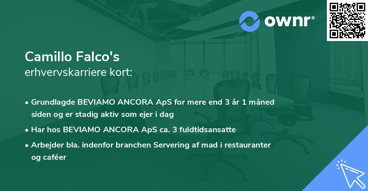 Camillo Falco's erhvervskarriere kort